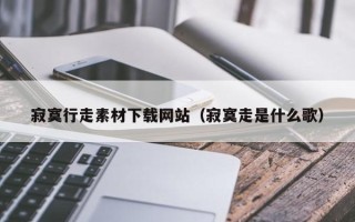 盐城寂寞行走素材下载网站（寂寞走是什么歌）